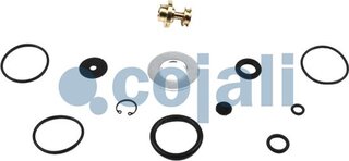 Cojali 6012248