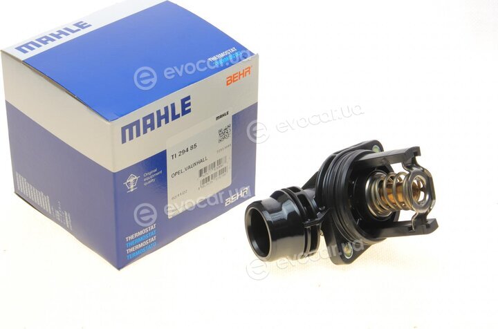 Mahle TI 294 85