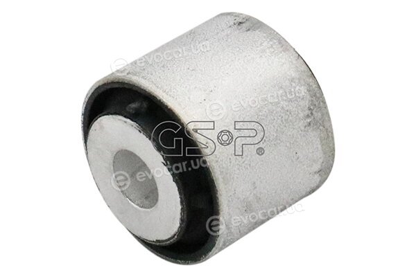 GSP 510513