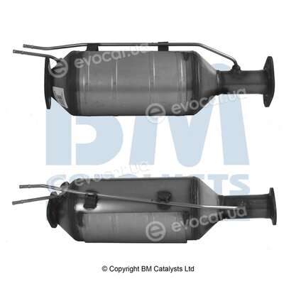 BM Catalysts BM11006P