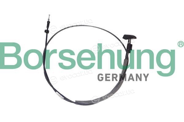 Borsehung B12344