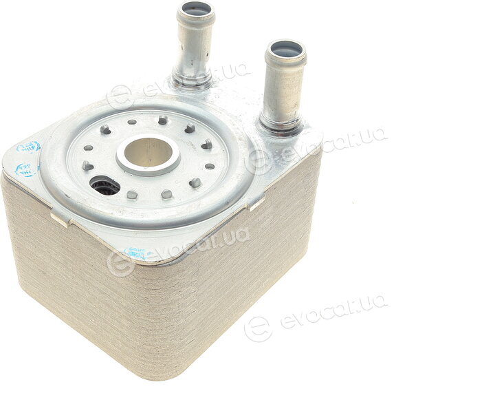 Van Wezel 58003093
