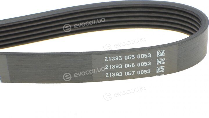 Dayco 6PK1100