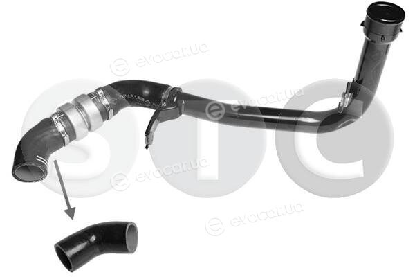 Metalcaucho / STC T499139