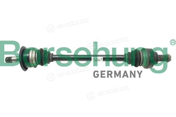 Borsehung B12490