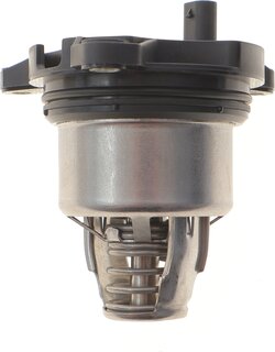 Hepu TM1389