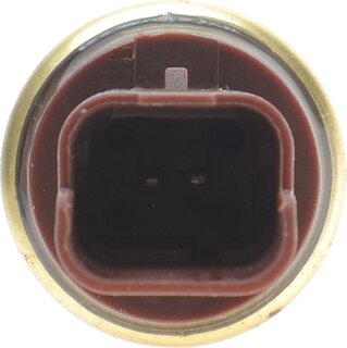 Delphi TS10477