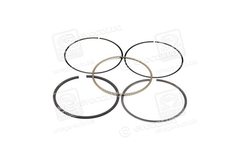 Mahle 022 10 N0