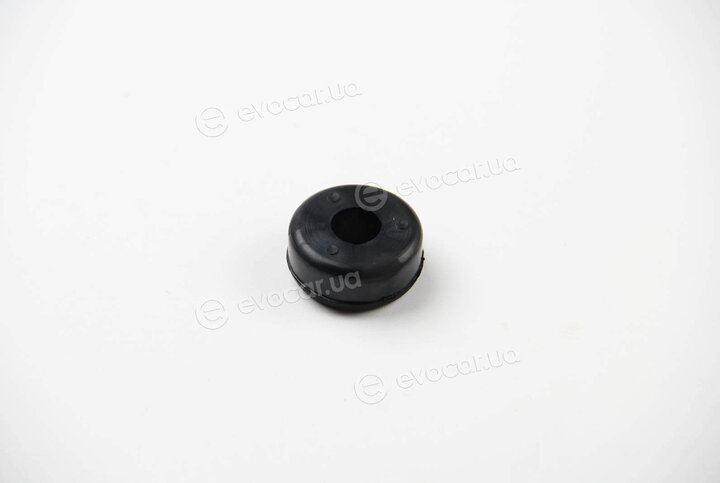 BC Guma 0245