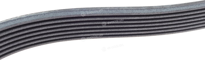 Continental 7PK1516
