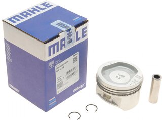 Mahle 030 42 02