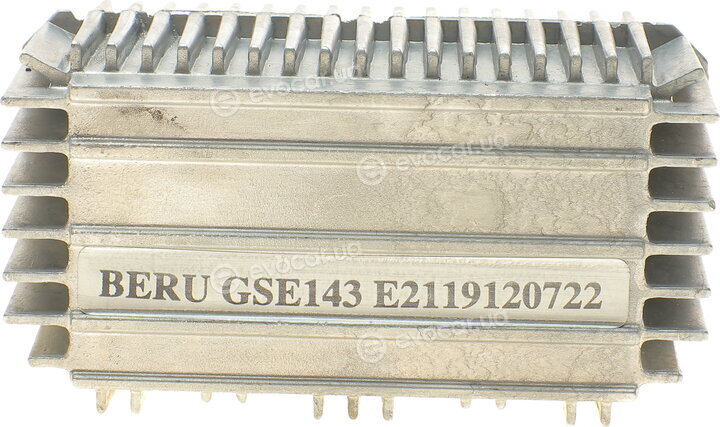 Beru GSE143