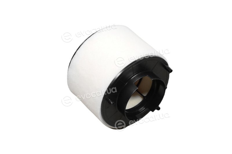 Denckermann A142186