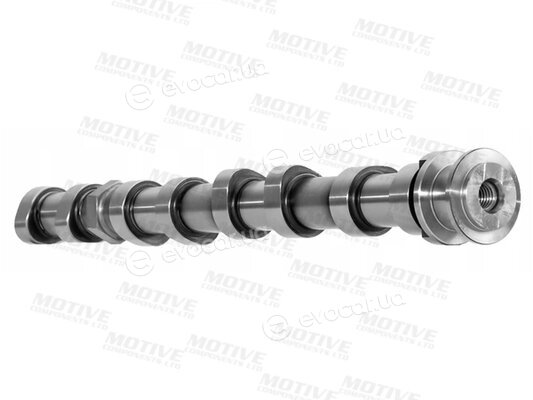 Motive T4439