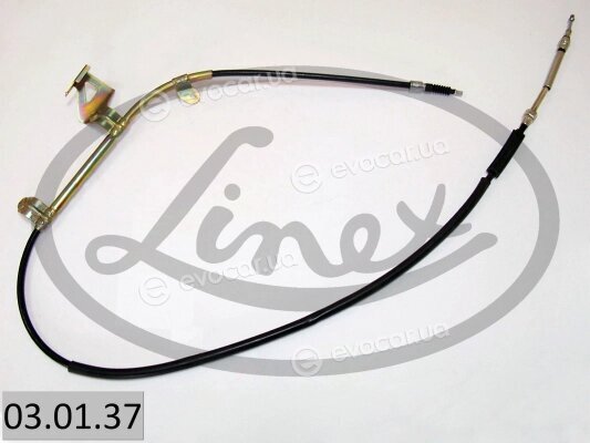Linex 03.01.37