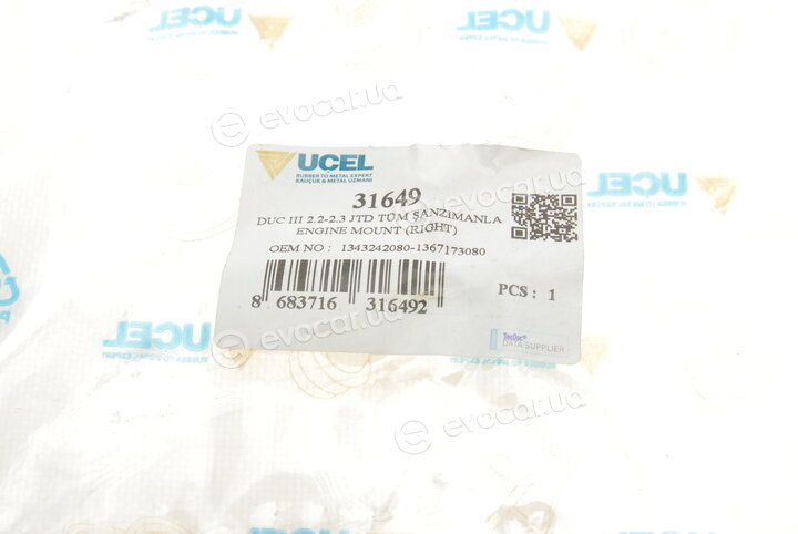 Ucel 31649