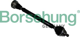 Borsehung B17853