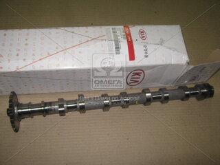 Kia / Hyundai 241002A101