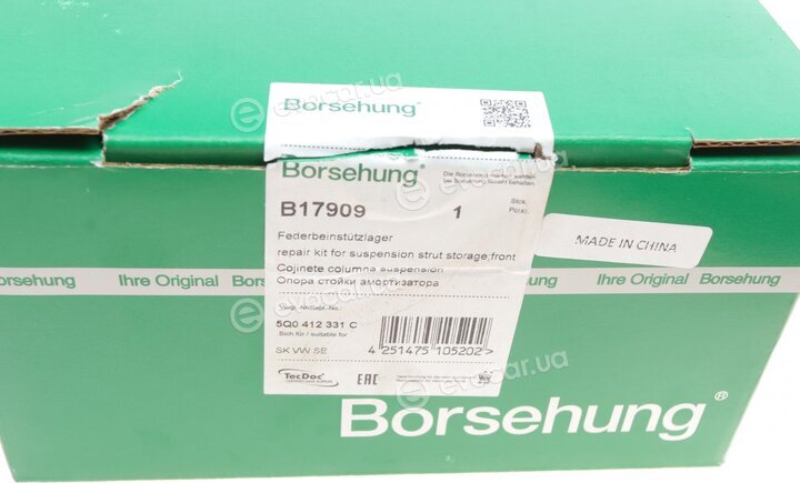 Borsehung B17909