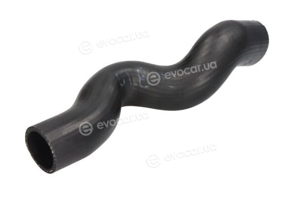 Thermotec DCX119TT