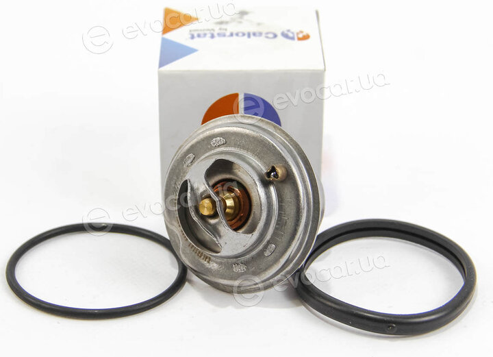 Vernet / Calorstat TH5699.80J