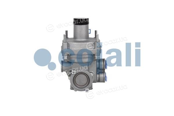 Cojali 2220351