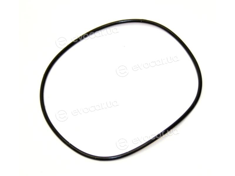 Starline VP FI179