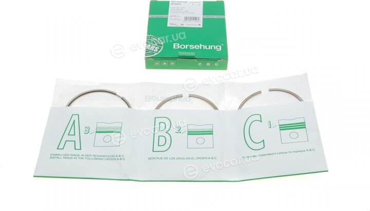 Borsehung B19037