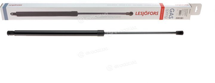 Lesjofors 8163472