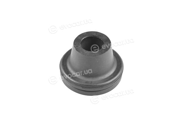 Tedgum 00392400