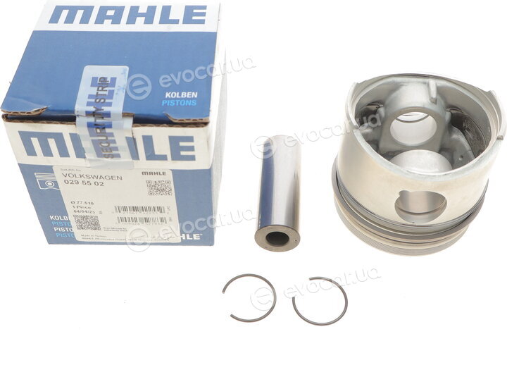 Mahle 029 55 02