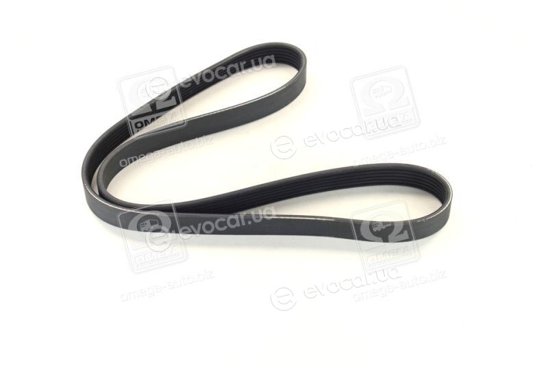 Dayco 6PK1165