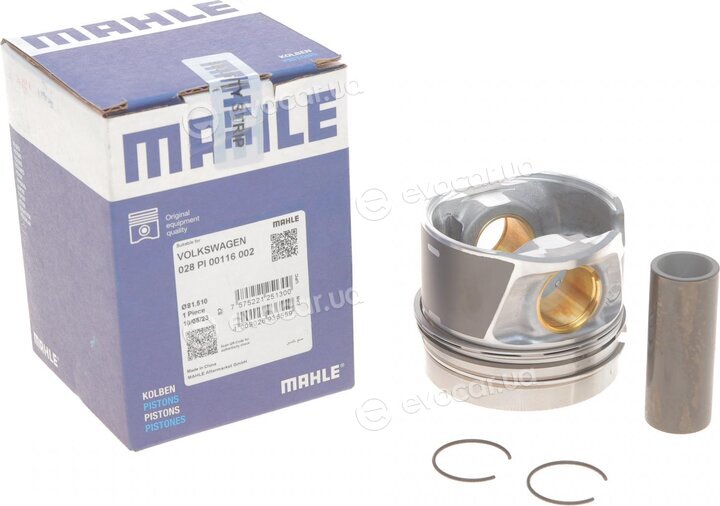 Mahle 028 PI 00116 002