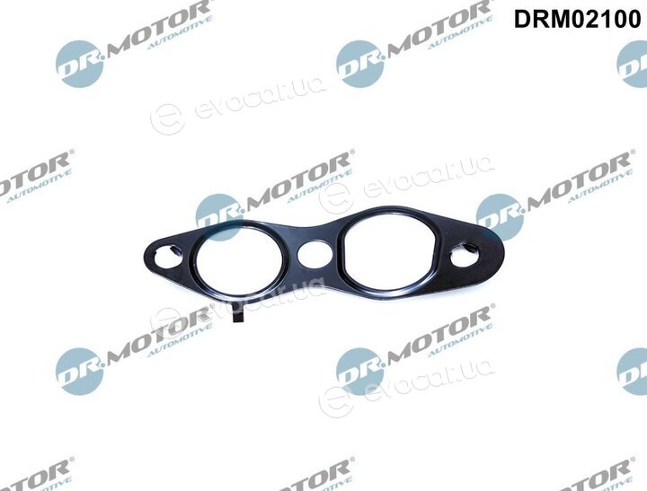Dr. Motor DRM02100