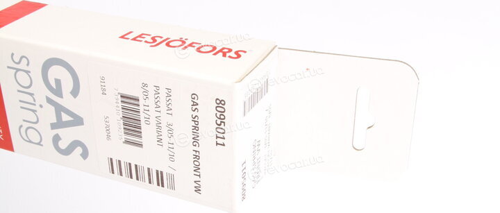 Lesjofors 8095011