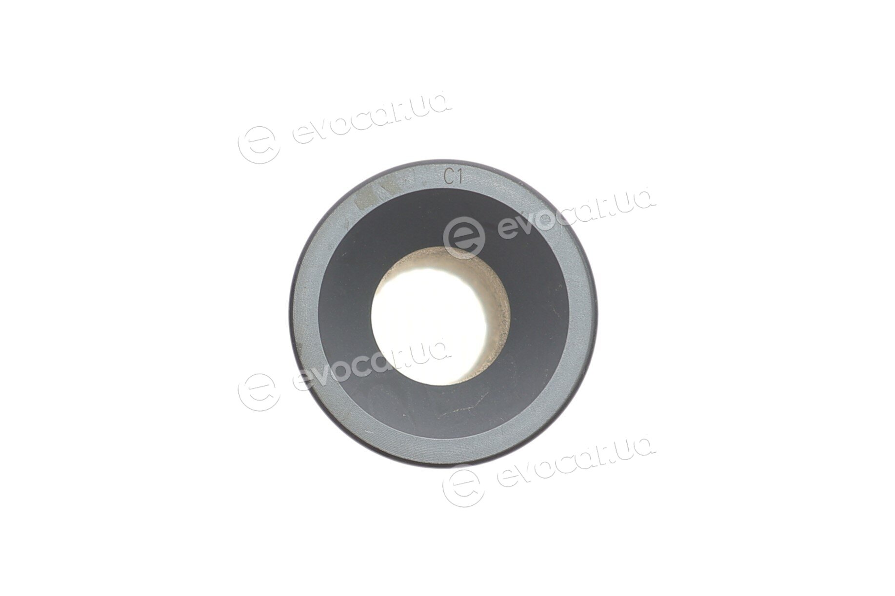 Mahle 028 PI 00100 002