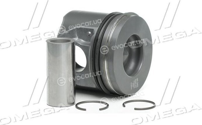 Mahle 013 PI 00107 002