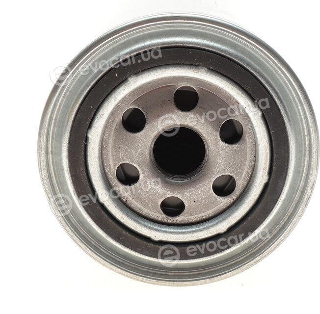 Hengst H24W04