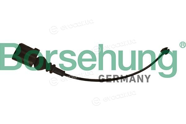 Borsehung B13397