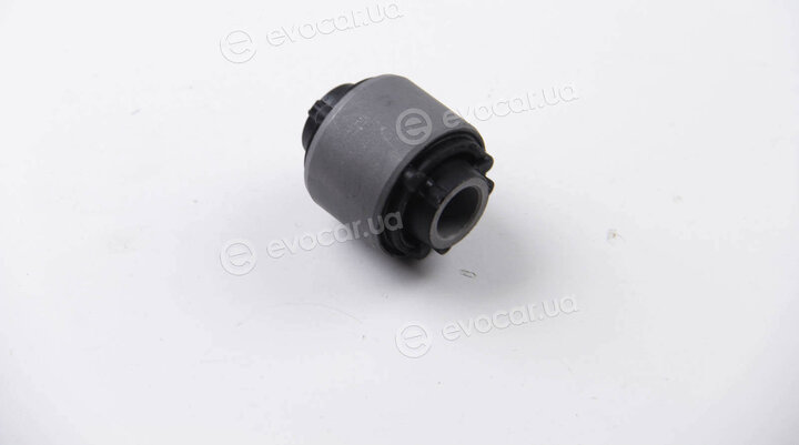 BC Guma 0250