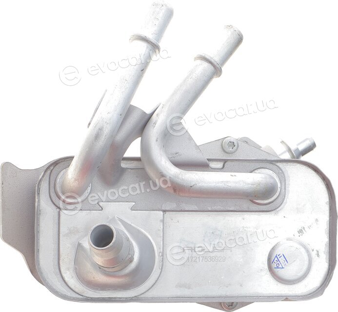 Adler 17217536929