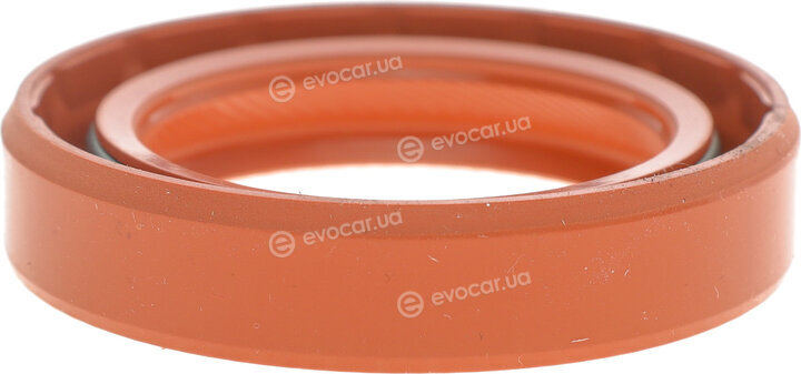 Elring 507.725