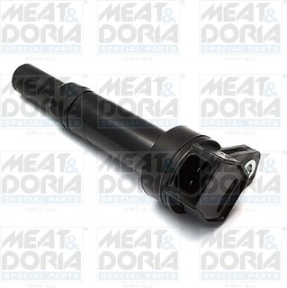 Meat & Doria 10620