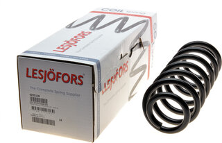 Lesjofors 4295108