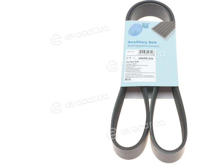 Blue Print AD08R1225