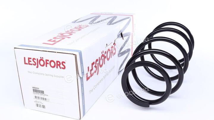 Lesjofors 4092577