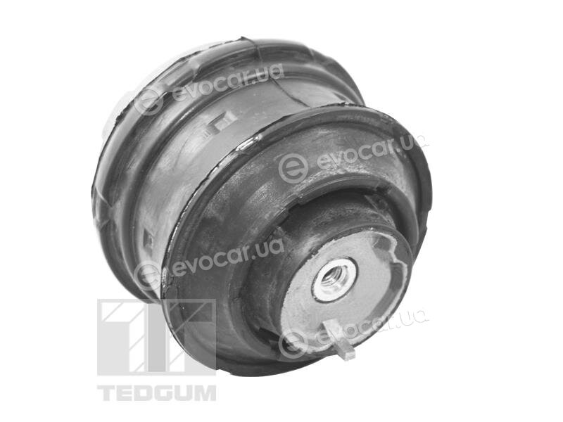 Tedgum TED72237
