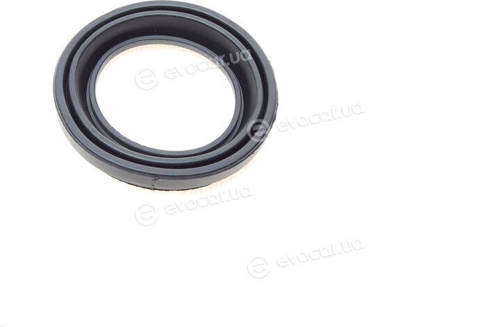 Frenkit 252048