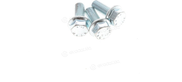 Solgy 203048