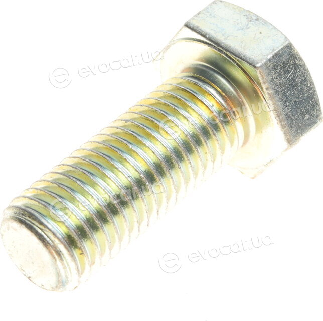 Solgy 203063